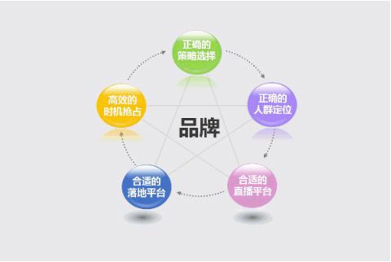 品牌策划:企业成长的风帆